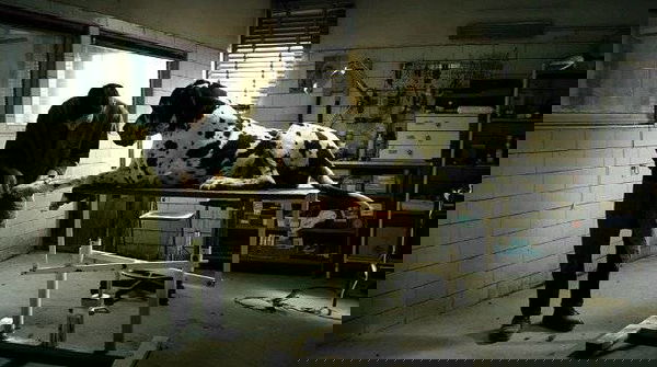 EFA 2018, Dogman e Lazzaro felice in corsa