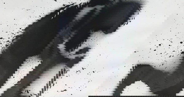 Rambo V: The Last Blood, lacrime e sangue nella nuova clip