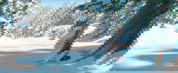 Zanna Bianca, Netflix acquista il film d’animazione