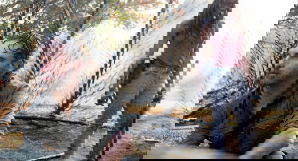 The Walking Dead 8 ai minimi storici, ci saranno conseguenze?