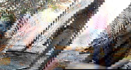 The Walking Dead 8 ai minimi storici, ci saranno conseguenze? article-post