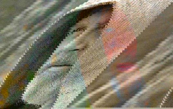 Star Wars: Mark Hamill indica chi gli piacerebbe come giovane Luke Skywalker