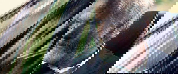 L’ultimo viaggio: recensione, la ricerca dell’identità attraverso i conflitti.