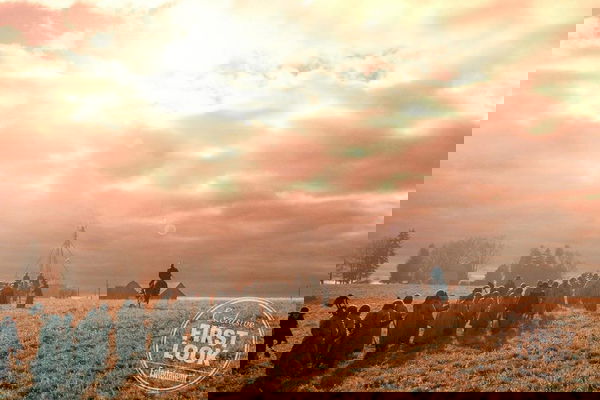 The Handmaid’s Tale 3: Jezebel e le colonie torneranno