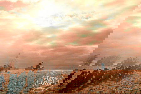 The Handmaid’s Tale 2: Bradley Whitford entra nel cast, ecco chi interpreterà article-post