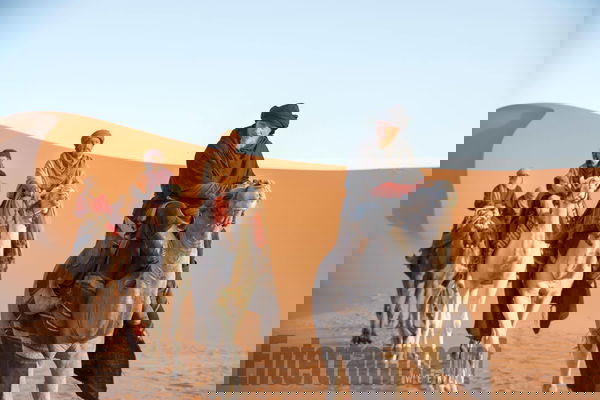 Vikings 5: L’incontro tra Rollo e Ivar nel nuovo sneak peek | VIDEO