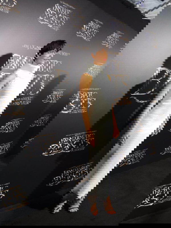 Animali Fantastici 3, David Yates afferma “Il prossimo film sarà più semplice e leggero”