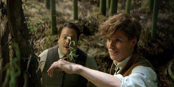 Animali Fantastici: J.K Rowling ha già iniziato a scrivere il terzo film