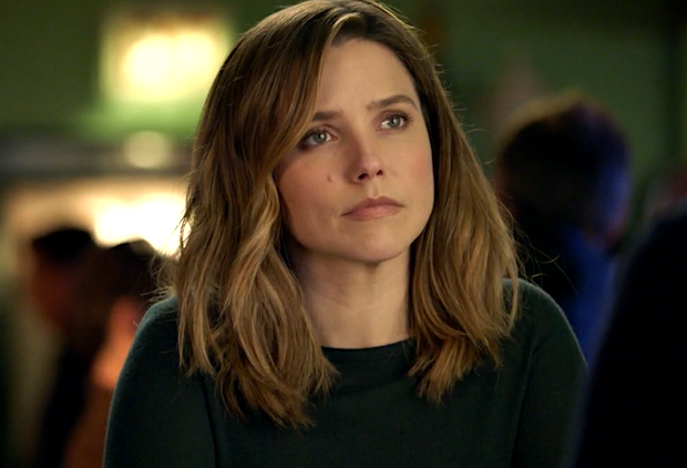 Sophia Bush: Da Chicago PD a Surveillance, l’ex Lindsay torna sul piccolo schermo article-post