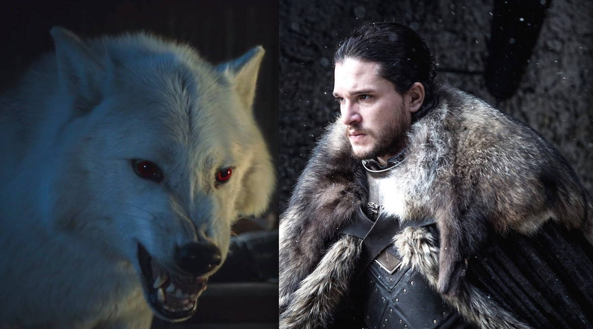 Game of Thrones 8: Ghost tornerà e sarà molto presente secondo il VFX supervisor article-post