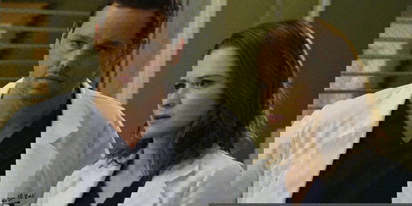 Grey’s Anatomy 14×18: Alex Karev e Meredith Grey al centro del nuovo episodio |VIDEO