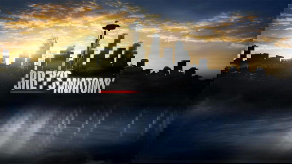 Grey’s Anatomy 14: Un volto familiare pronto a tornare per un arco di episodi