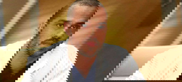 Grey’s Anatomy 14, Jesse Williams: “I Japril dureranno per sempre”