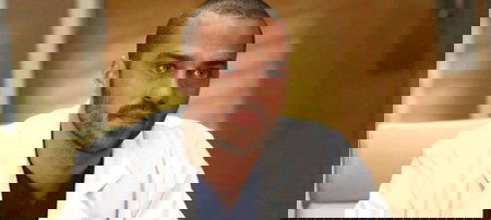 Grey’s Anatomy 14, Jesse Williams: “I Japril dureranno per sempre” article-post