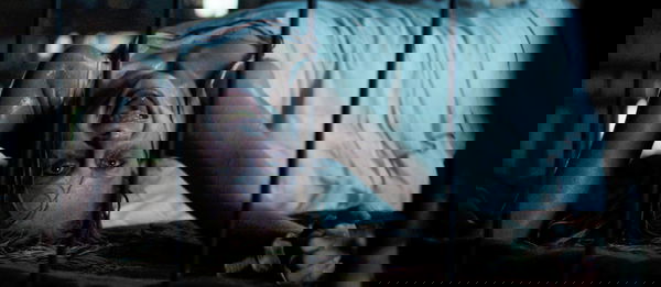 L’esorcismo di Hannah Grace : Recensione, il demonio dell’obitorio