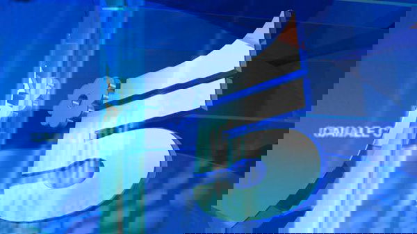 Canale 5, palinsesti primavera 2018: Amici, Grande Fratello, The Wall