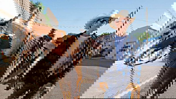 Amazon: Cancellate le serie “I Love Dick”, “Jean-Claude Van Johnson” e “One Mississippi”