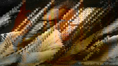 Prison Break 6: Dominc Purcell fa impazzire i fan mentre arrivano nuove domande article-post