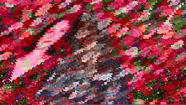 Bryan Cranston e Tatiana Maslany reciteranno in teatro Quinto Potere