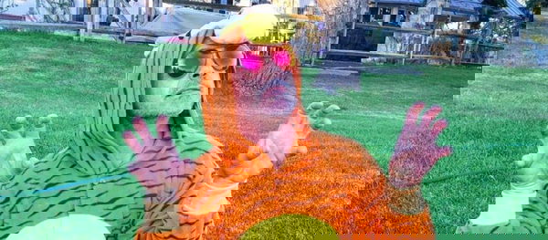 The Voyage of Doctor Dolittle: Robert Downey Jr. annuncia il cast vocale del film pieno di stelle | FOTO