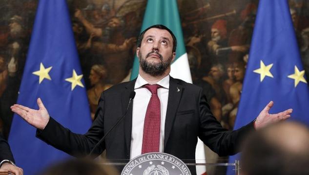 anm salvini