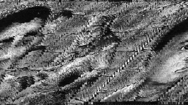 La strada dei Samouni: Recensione, il Piombo Fuso di Gaza