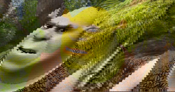 Shrek: Il creatore di Cattivissimo Me al lavoro per il reboot