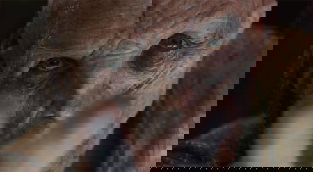 Star Wars: Andy Serkis parla della morte di Snoke “Lasciata aperta la porta per un ritorno” article-post