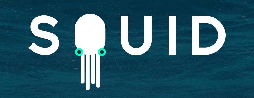 Talky Media arriva su Squid App, l’app di notizie per i Millennials article-post