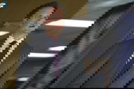 Suits 8: Katherine Heigl entra nel cast come series regular article-post