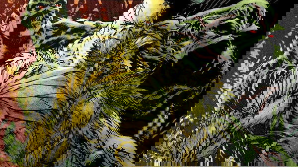 DC’s Swamp Thing: RJ Cyler entra nel cast!