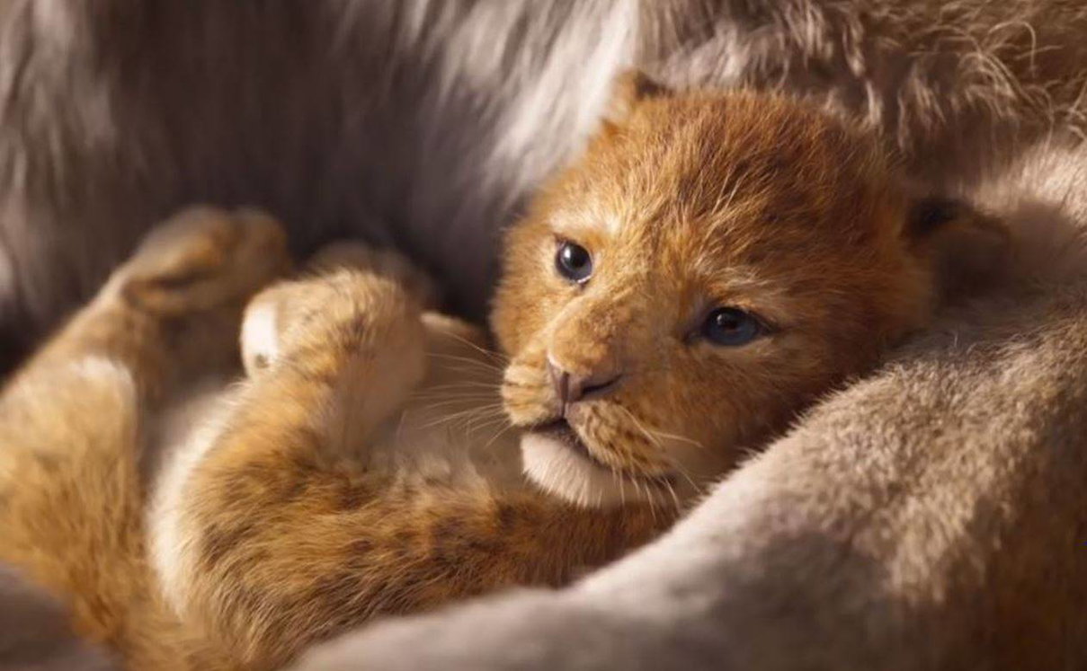 Il Re Leone: Ecco a chi è affidata la voce italiana di Mufasa article-post