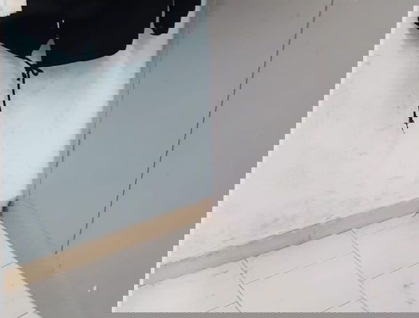 Emergenza rifiuti, topi in classe al liceo Croce-Aleramo di Roma | VIDEO