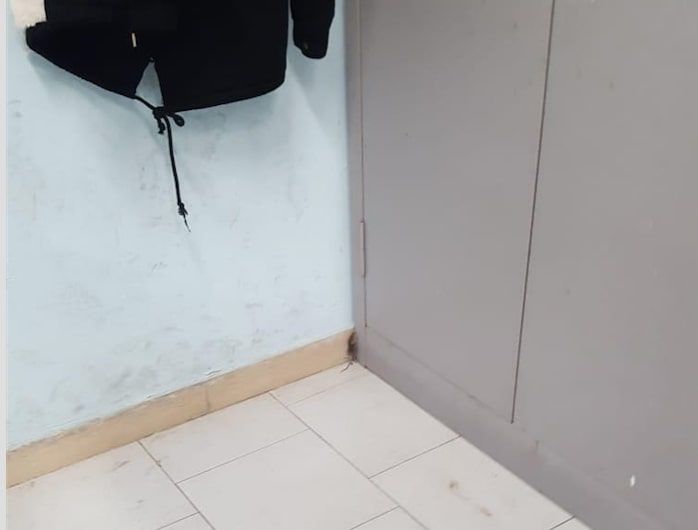 Emergenza rifiuti, topi in classe al liceo Croce-Aleramo di Roma | VIDEO article-post
