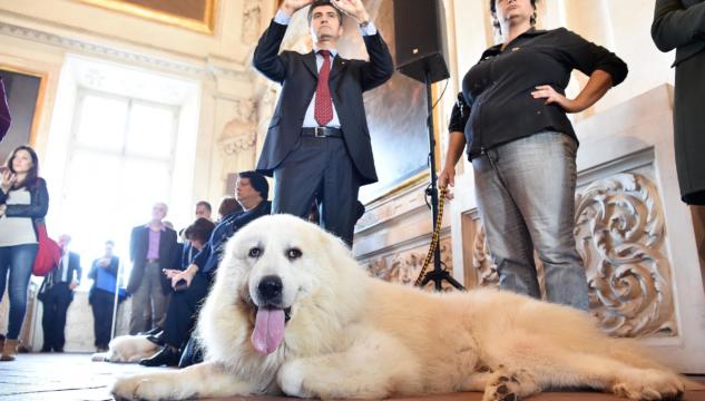 Cani e gatti tumulati con i loro padroni