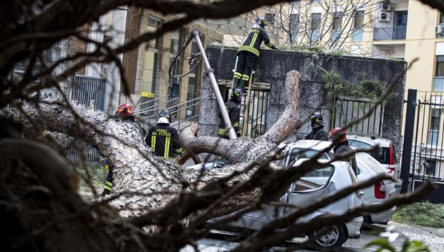 Virginia Raggi, alberi caduti colpa di Mussolini