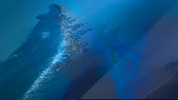 Godzilla 2: King Of Monster, Rodan vs King Ghidorah nel nuovo spot TV |VIDEO