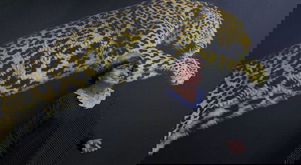 Agnès Varda, Bon Voyage