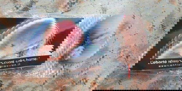 Il gadget del feto in gomma distribuito a Verona si chiama Michele