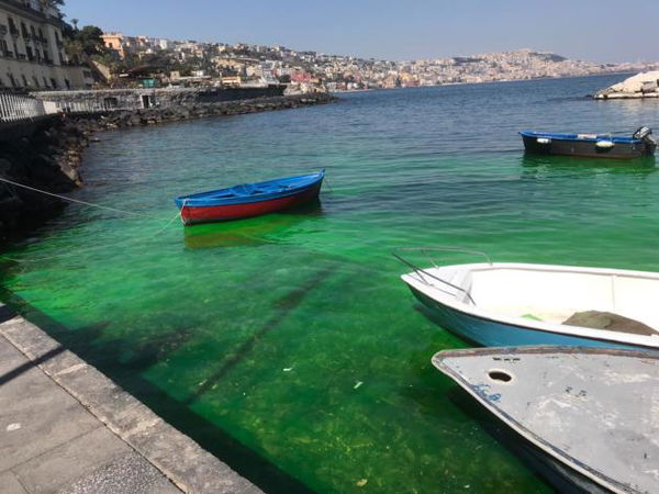 Il mare di Posillipo diventa verde: la denuncia | VIDEO
