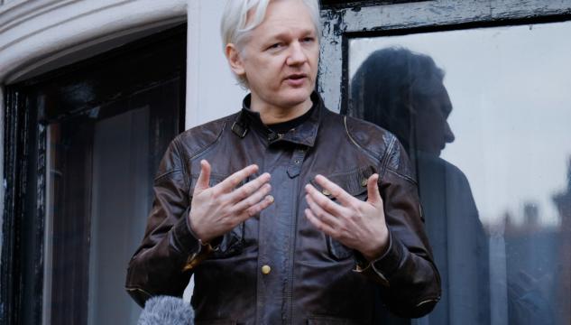 Julian Assange, Wikileaks