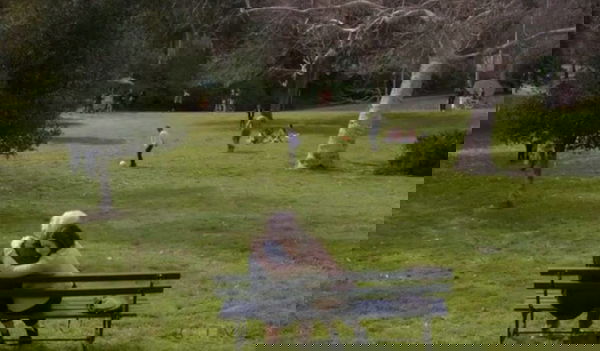 Grey’s Anatomy 15×21 – Recensione: “Sei stata coraggiosa e sei stata ripagata”