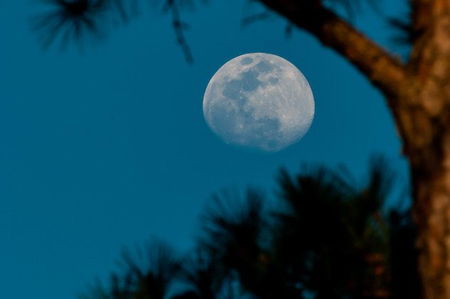Questa sera ci sarà la Luna Rosa, che però sarà arancione article-post