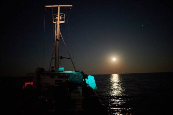 Salvini vuole mandare ad Amburgo la nave Alan Kurdi