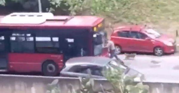 Roma, autista dell’autobus tenta di investire un pedone | VIDEO