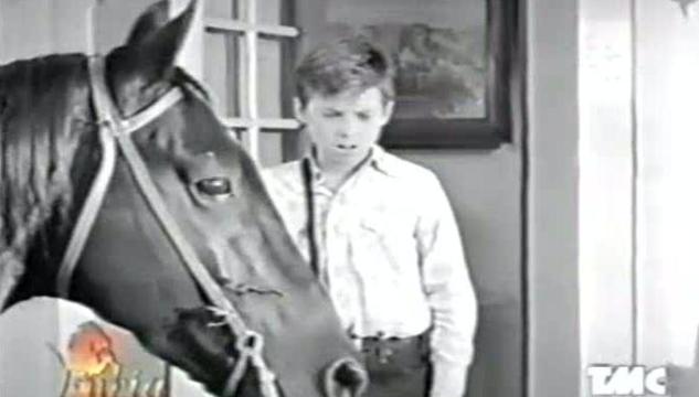 Bobby Diamond