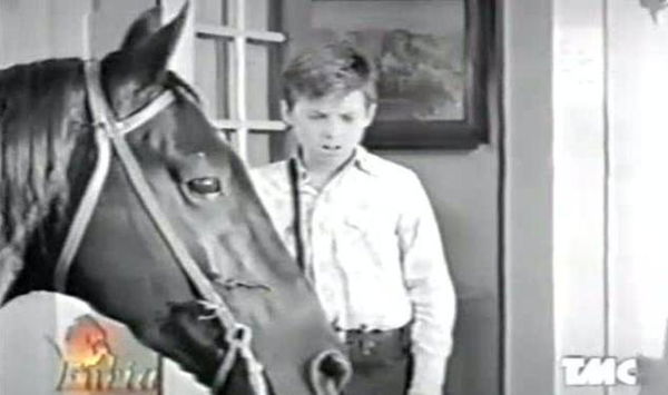 Addio a Bobby Diamond, l’attore che interpretò l’orfanello che domò Furia