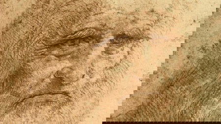 Il giallo della ciocca di capelli di Leonardo da Vinci article-post