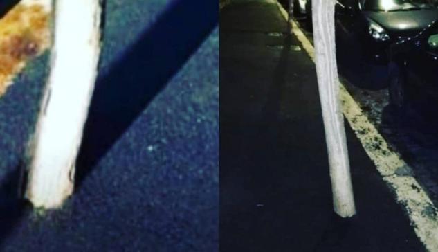 A Roma si riparano i marciapiedi ‘affogando’ gli alberi nell’asfalto article-post