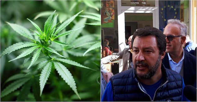 Salvini esulta per la chiusura degli shop di cannabis, per Giuseppe Conte «non è all’ordine del giorno» article-post